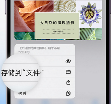 三穗apple维修中心分享iPhone文件应用中存储和找到下载文件