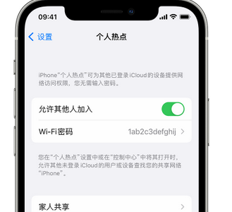 三穗apple服务站点分享iPhone上个人热点丢失了怎么办