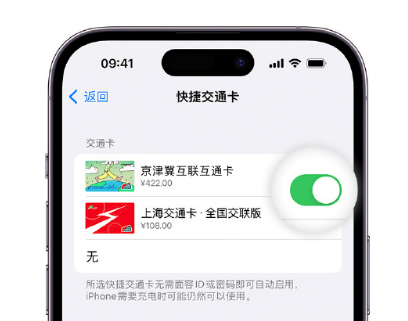 三穗apple维修点分享iPhone上更换Apple Pay快捷交通卡手绘卡面 