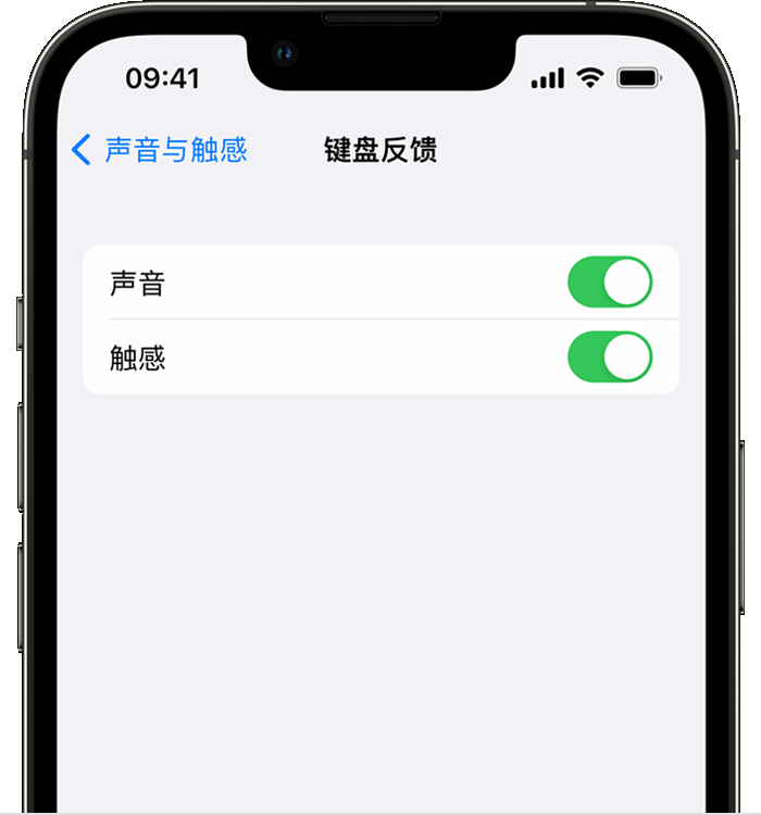 三穗苹果14维修店分享如何在 iPhone 14 机型中使用触感键盘 