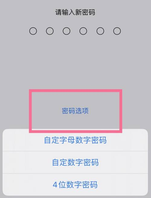 三穗苹果14维修分享iPhone 14plus设置密码的方法 