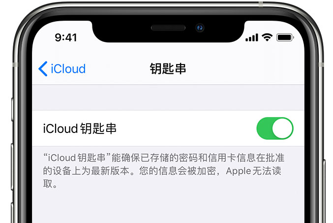 三穗苹果手机维修分享在 iPhone 上开启 iCloud 钥匙串之后会储存哪些信息 