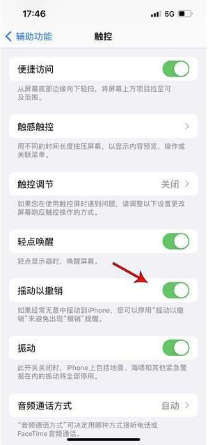 三穗苹果手机维修分享iPhone手机如何设置摇一摇删除文字 