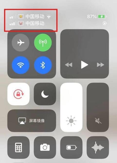 三穗苹果手机维修分享为 iPhone 12 双卡设置标签 